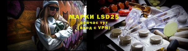 ПСИЛОЦИБИНОВЫЕ ГРИБЫ Балахна