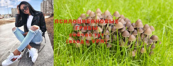 ПСИЛОЦИБИНОВЫЕ ГРИБЫ Балахна