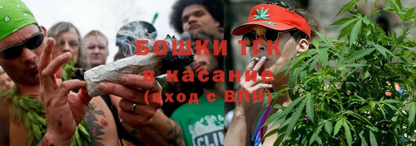 ПСИЛОЦИБИНОВЫЕ ГРИБЫ Балахна