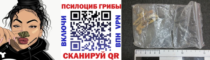 Псилоцибиновые грибы мухоморы  закладка  Севск 